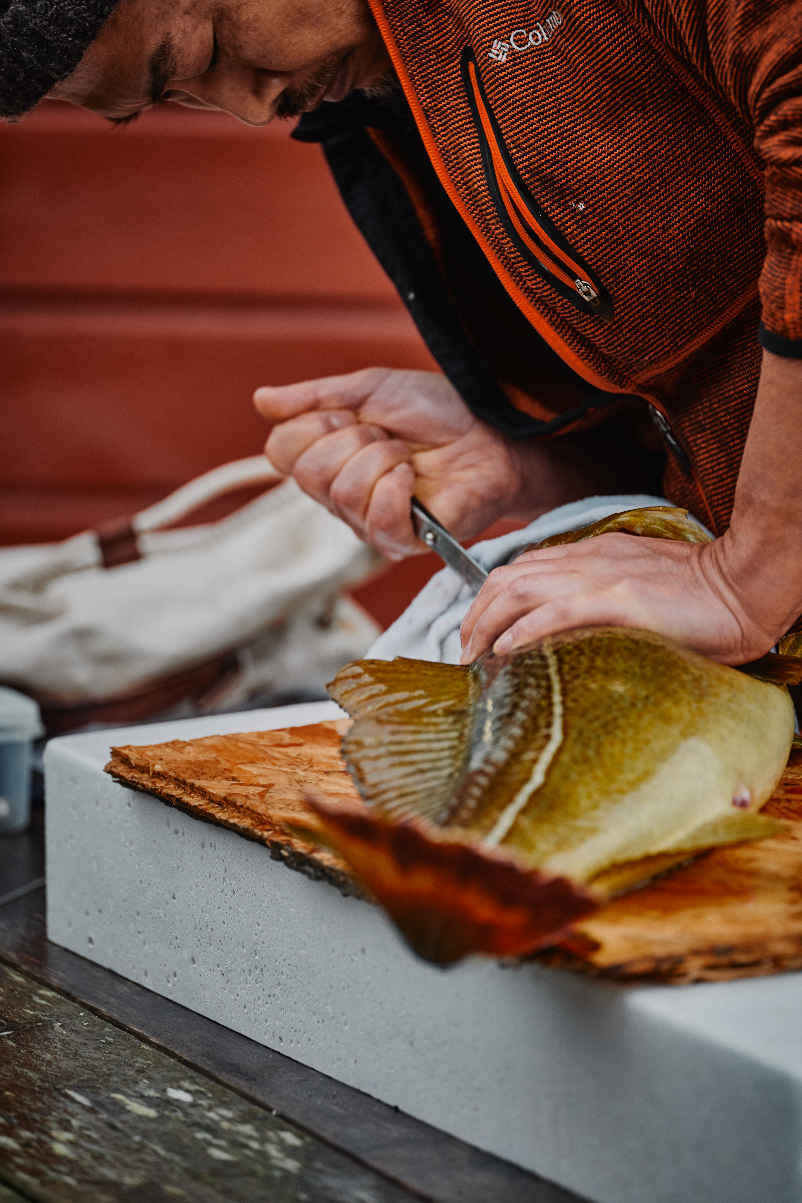 Knife detail close-up